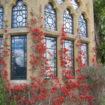 Knightshayes, window detail